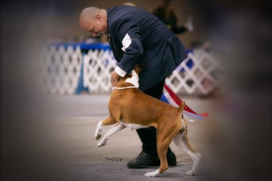 Lawton Dog Fanciers Association II