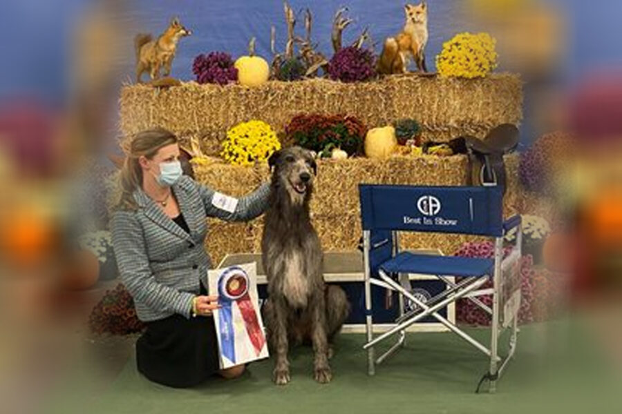 Old Dominion Kennel Club of Northern Virginia