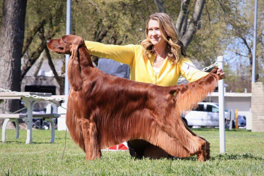 Vancouver Kennel Club