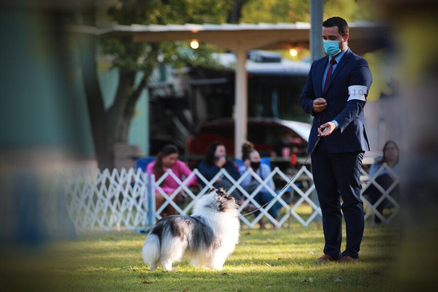 Vancouver Kennel Club