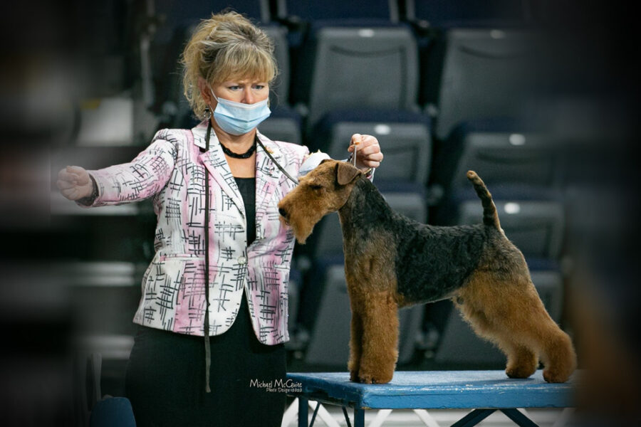 Central Florida Kennel Club