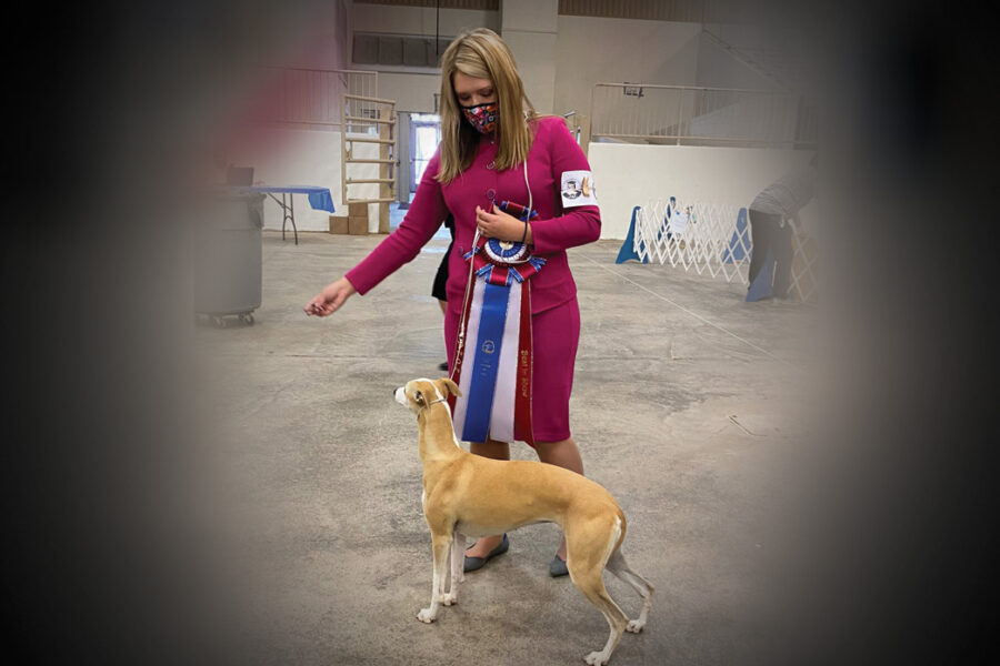 El Paso Dog Fanciers II