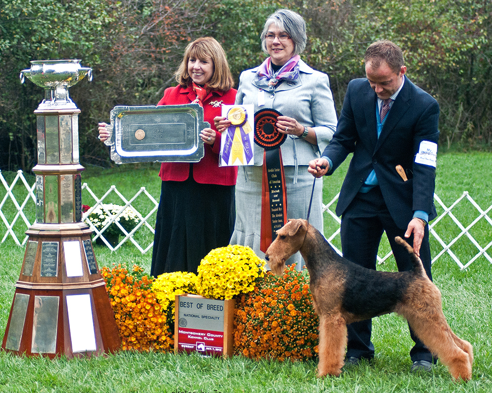 Joval Angel’s Airedale Terriers