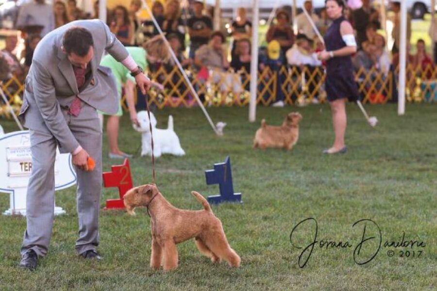 Handler Klayton Harris