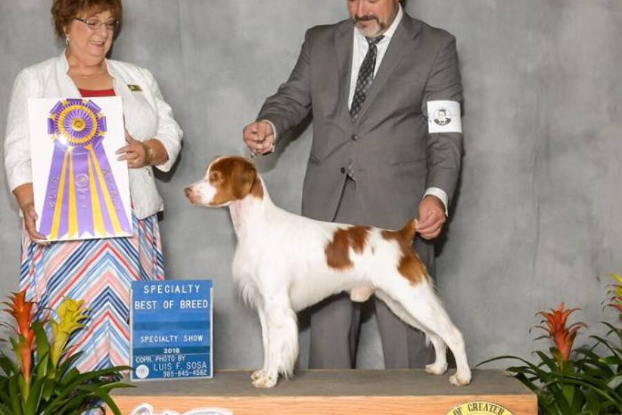 Handlers David and Jennifer Harper