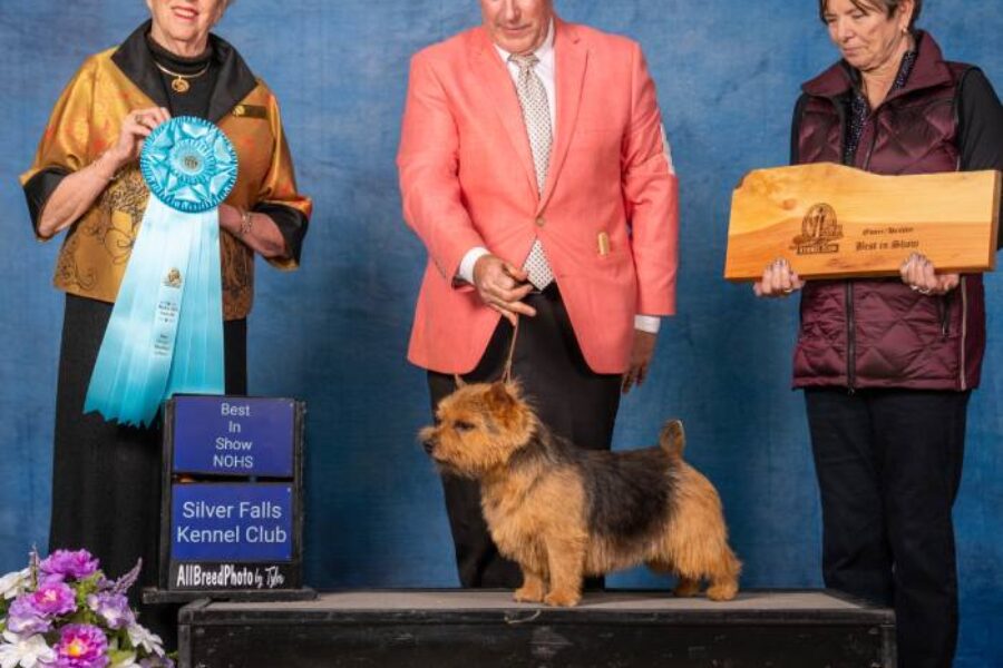 Handler Keith McDonough