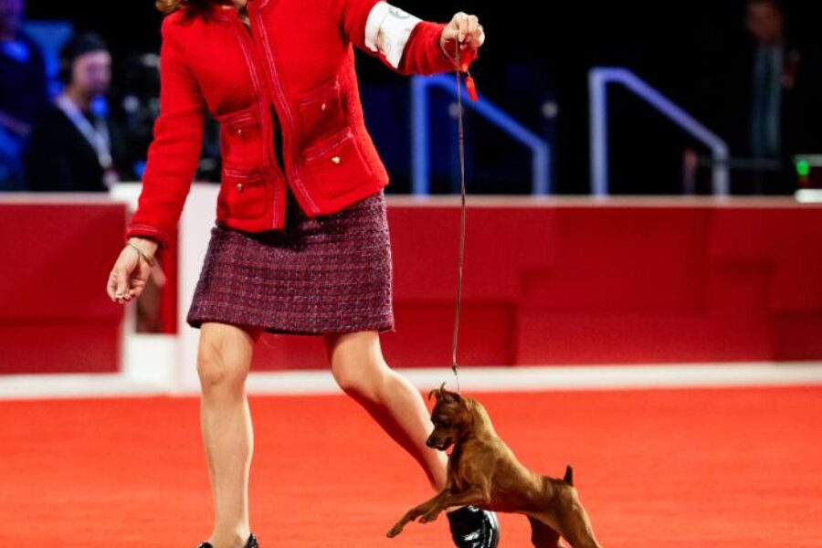 Handler Kim Calvacca