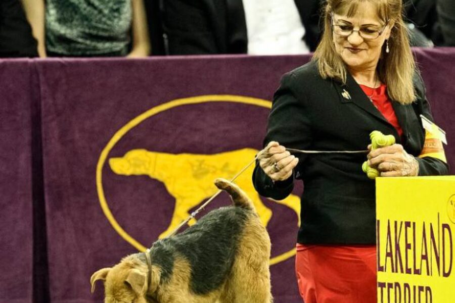 Owner Handler Susan Fraser